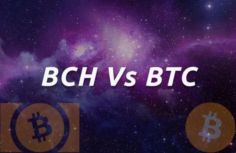 BCH-比特现金 简介