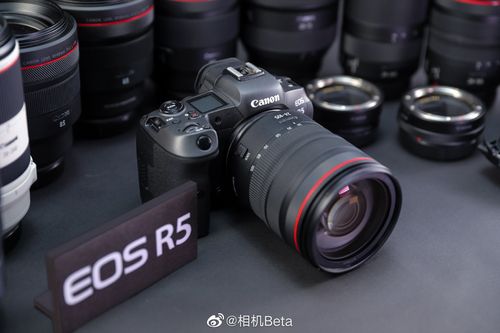 佳能全画幅专微EOS R5/R6如何选？