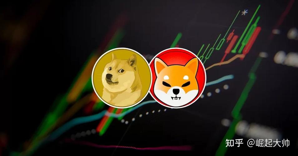 Dogecoin引领的反弹对市场来说可能并不是好消息