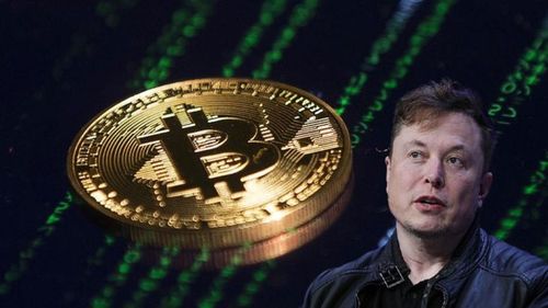 监测：假借Elon Musk名义的比特币骗局地址收到0.5924枚BTC