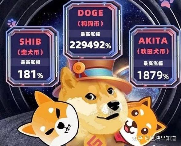 狗狗币信徒们的“星际世界”