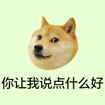 看沙雕视频，品百味人生！「doge」