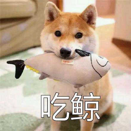 这才是爱情「doge」