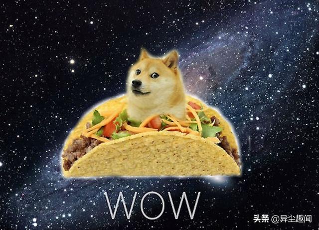 看开头还以为是虐猫，结果…「doge」