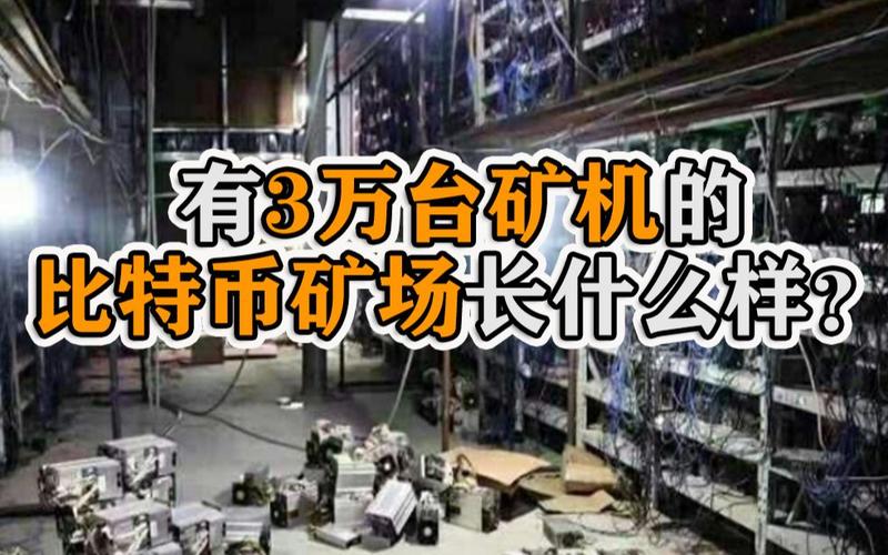 加密货币这个冬天格外冷，矿工、矿场、矿机生产商都快挺不住了